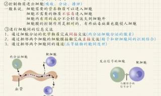 2021生物选择性必修一知识点总结 高一生物必修一知识点